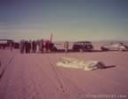 17033.jpg (37kb)
