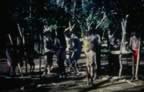 4002.jpg (92kb)