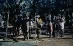 4006.jpg (104kb)