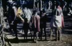 4014.jpg (96kb)