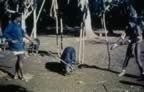 4028.jpg (86kb)
