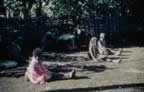 4029.jpg (99kb)