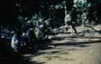 4039.jpg (85kb)