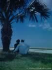 4167.jpg (52kb)