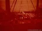 4602.jpg (41kb)