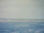 4705.jpg (34kb)