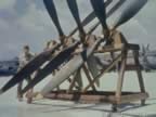 4901.jpg (53kb)