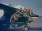4907.jpg (47kb)