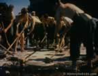 4940.jpg (61kb)