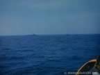 5005.jpg (33kb)