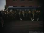 5009.jpg (42kb)