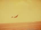 5029.jpg (17kb)