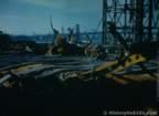 5062.jpg (56kb)