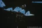 5068.jpg (31kb)