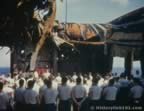 5073.jpg (60kb)