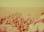 5079.jpg (42kb)