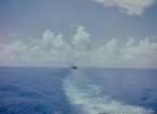 5189.jpg (32kb)
