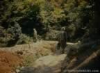 5203.jpg (82kb)