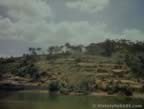 5206.jpg (46kb)