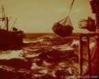 6012.jpg (53kb)