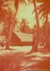 6021.jpg (68kb)
