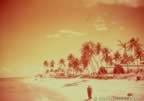 6022.jpg (43kb)