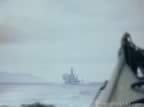 6037.jpg (20kb)
