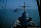 6061.jpg (41kb)
