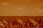 6201.jpg (39kb)