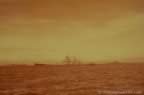6246.jpg (31kb)