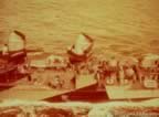 6309.jpg (68kb)
