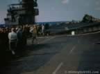 6317.jpg (44kb)