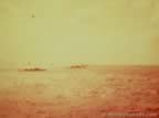6318.jpg (32kb)
