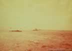 6319.jpg (30kb)