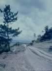 6360.jpg (55kb)