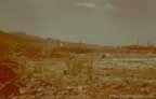 6501.jpg (59kb)
