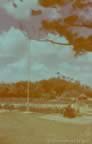 6504.jpg (49kb)