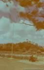 6506.jpg (49kb)