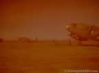 6517.jpg (24kb)
