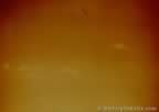 6723.jpg (14kb)