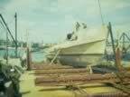 6803.jpg (65kb)