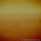 6846.jpg (16kb)