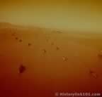 6847.jpg (18kb)