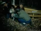 7005.jpg (61kb)