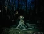 7006.jpg (46kb)