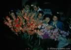 7012.jpg (61kb)