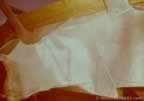 7082.jpg (37kb)