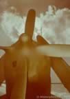 7083.jpg (36kb)