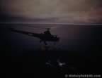 7125.jpg (28kb)