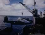 7129.jpg (49kb)